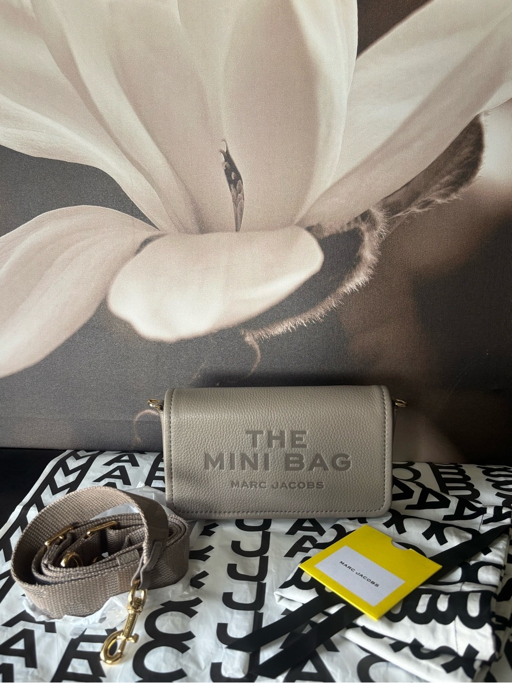 Marc Jacobs Mini Bag in Taupe Gray with Gold Hardware